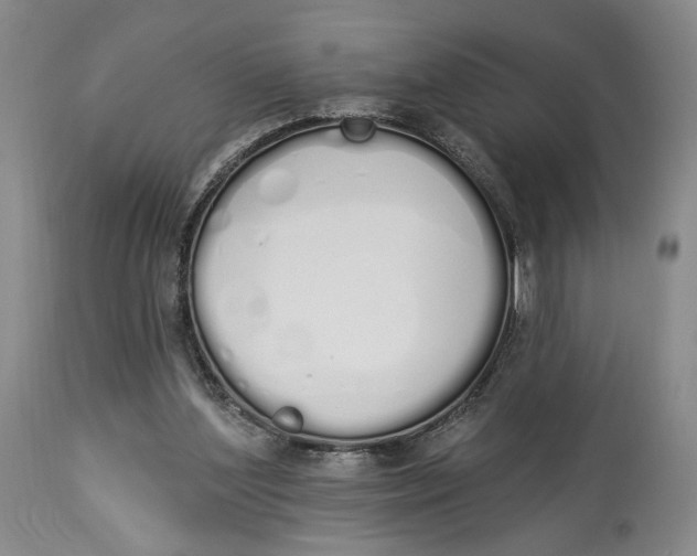 X0000114030204200910231906