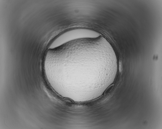 X0000114030205200910231906