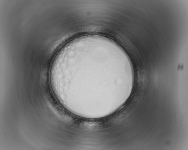 X0000114030208200910231906