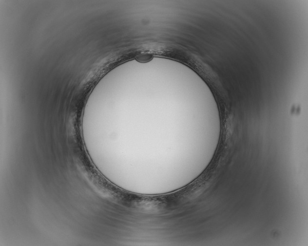 X0000114030209200910231906