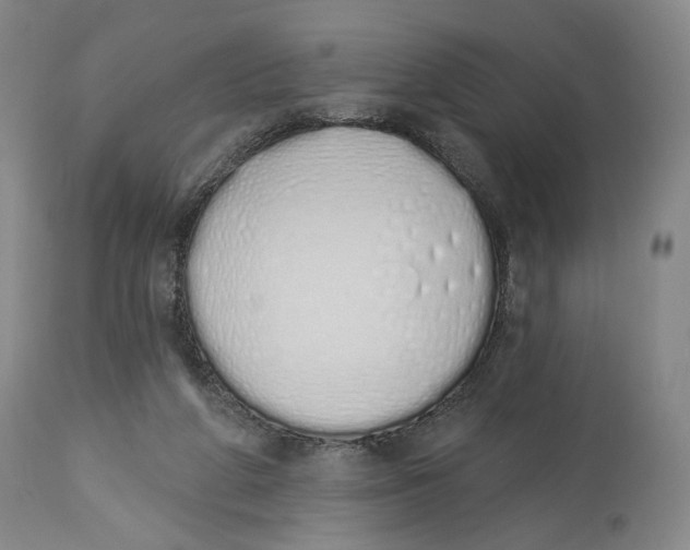 X0000114030210200910231906