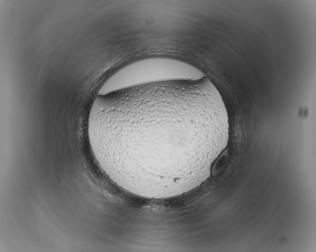 X0000114030211200910231906