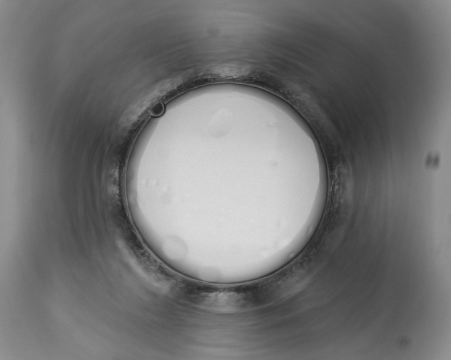 X0000114030212200910231906