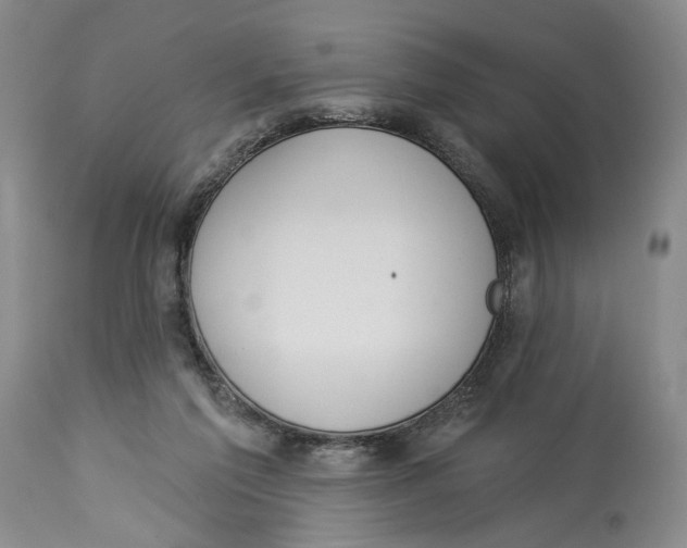 X0000114030213200910231906