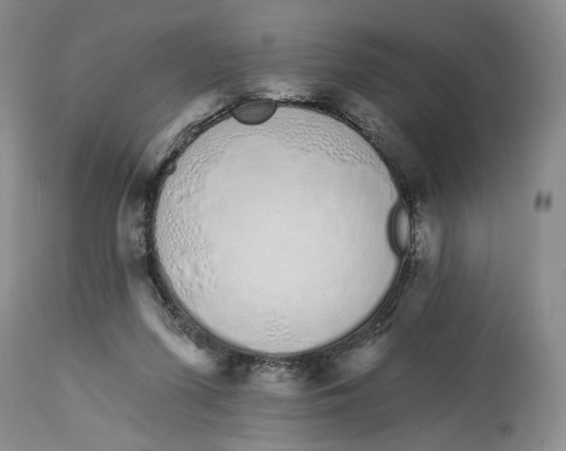 X0000114030215200910231906