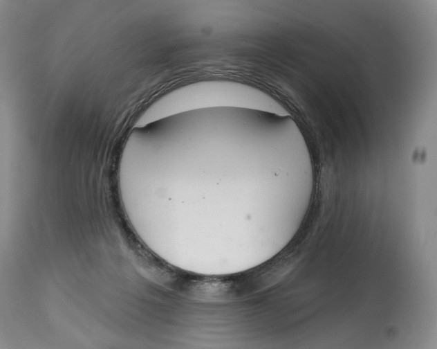 X0000114030217200910231906