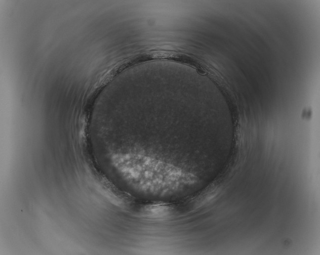 X0000114030219200910231906