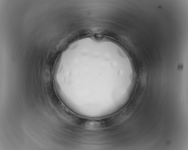 X0000114030220200910231906