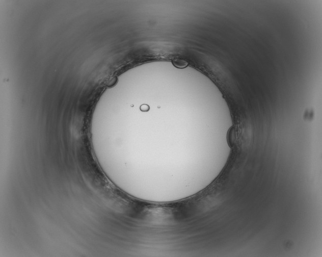 X0000114030221200910231906