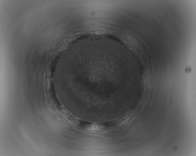 X0000114030223200910231906