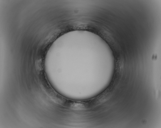 X0000114030224200910231906