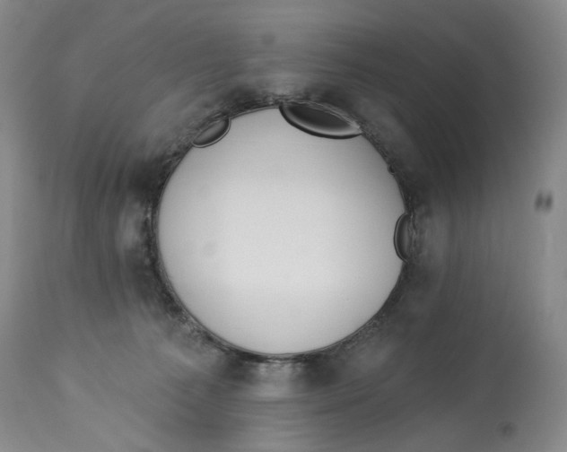 X0000114030225200910231906