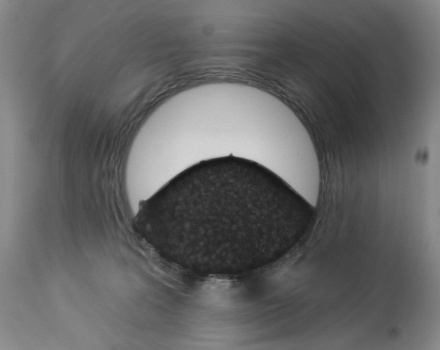 X0000114030227200910231906