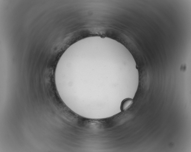 X0000114030229200910231906