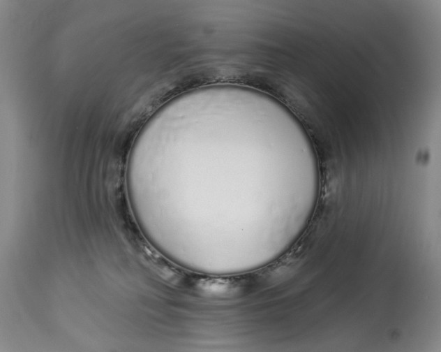 X0000114030230200910231906