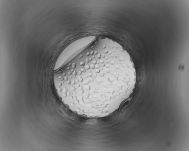 X0000114030231200910231906