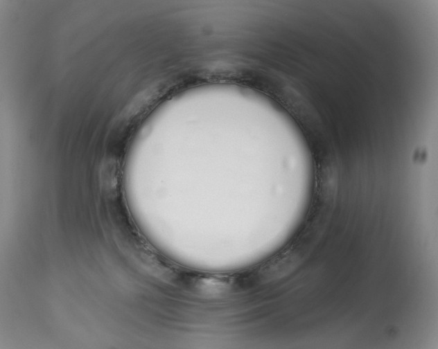 X0000114030232200910231906