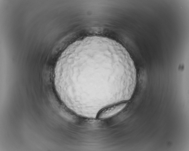 X0000114030233200910231906