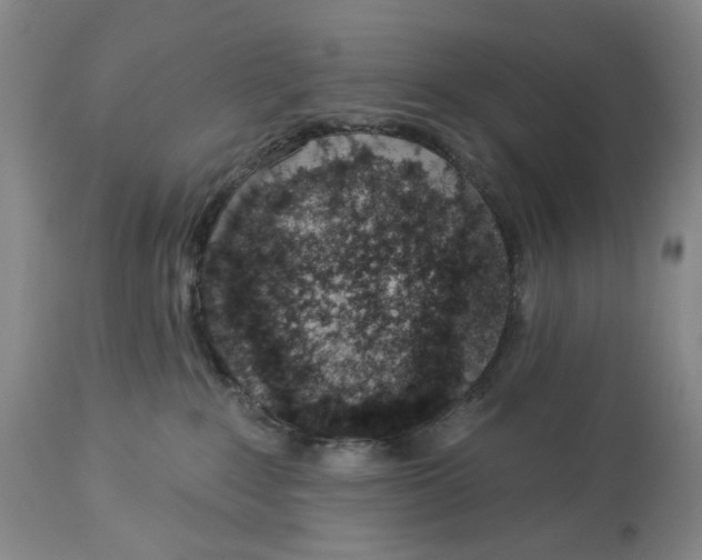 X0000114030235200910231906