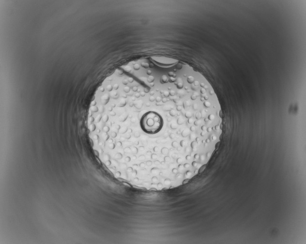 X0000114030237200910231906