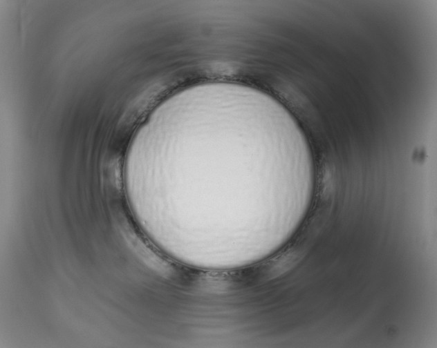 X0000114030238200910231906