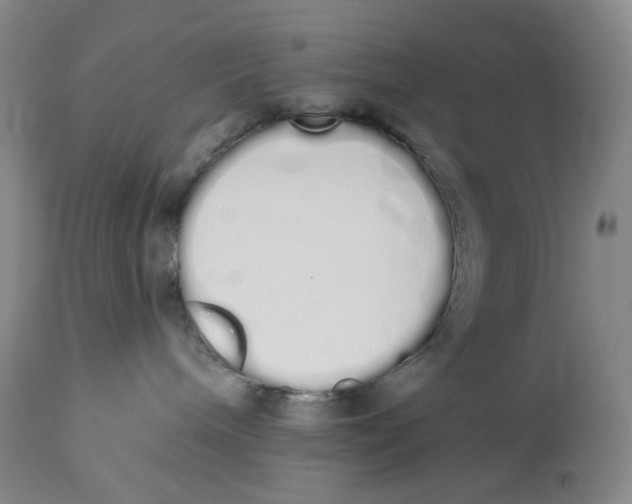 X0000114030240200910231906