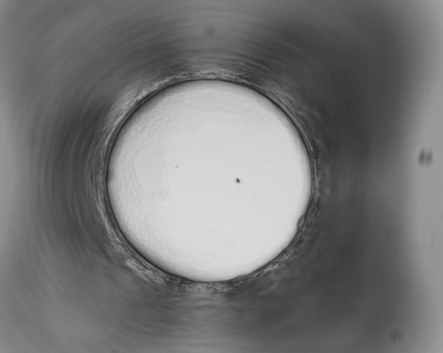 X0000114030241200910231905