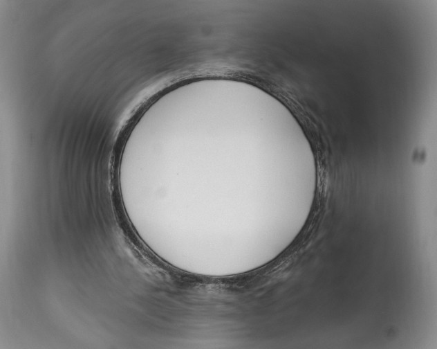 X0000114030244200910231905