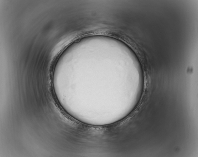 X0000114030245200910231905