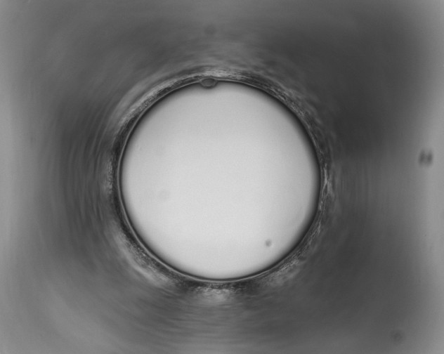 X0000114030247200910231905