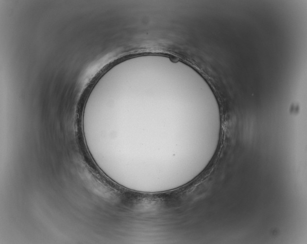 X0000114030248200910231905