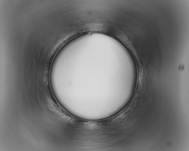 X0000114030249200910231905