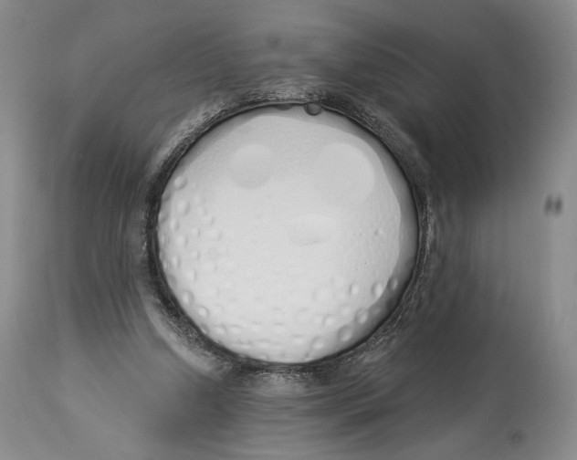 X0000114030250200910231905