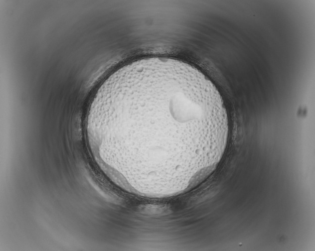 X0000114030251200910231905