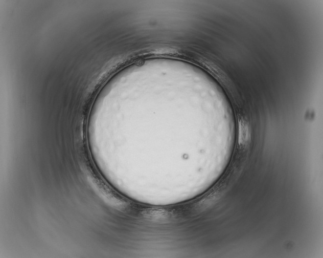 X0000114030253200910231905