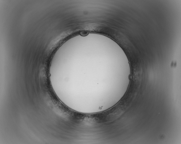 X0000114030256200910231905