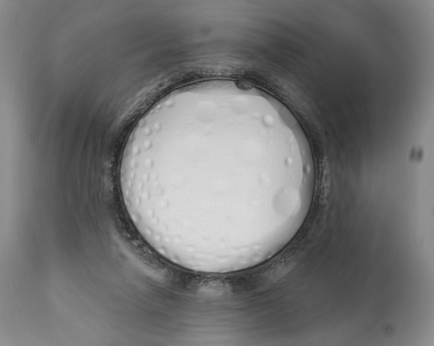 X0000114030258200910231905