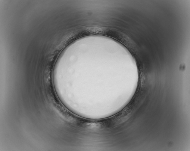 X0000114030259200910231905