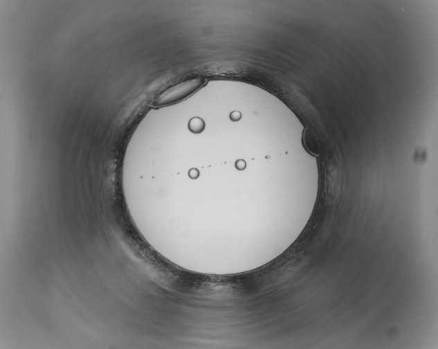 X0000114030260200910231905