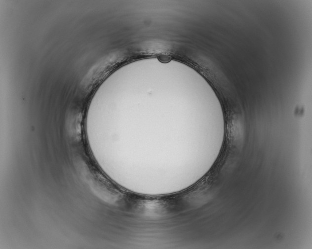 X0000114030264200910231905