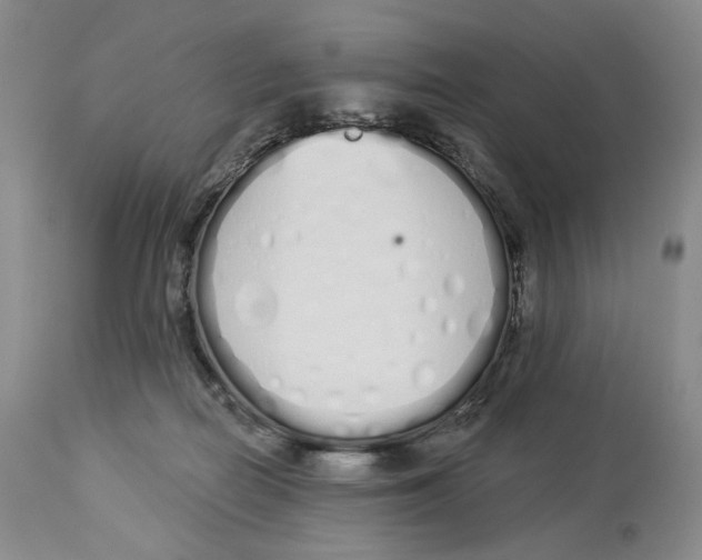 X0000114030266200910231905