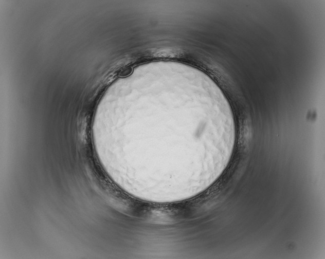 X0000114030268200910231905