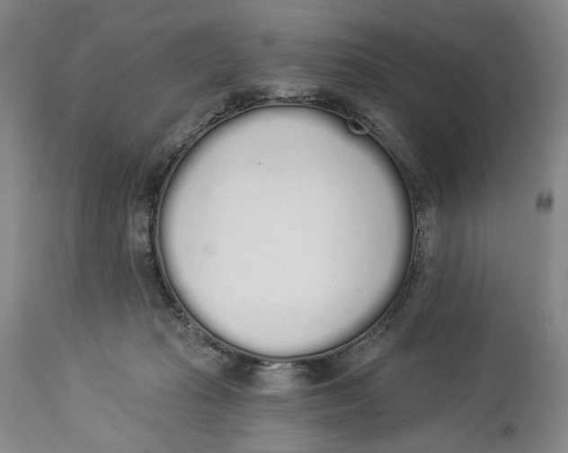 X0000114030269200910231905