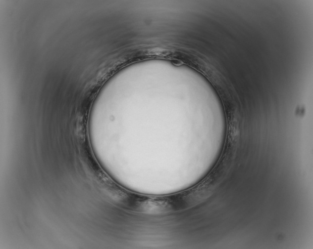 X0000114030270200910231905