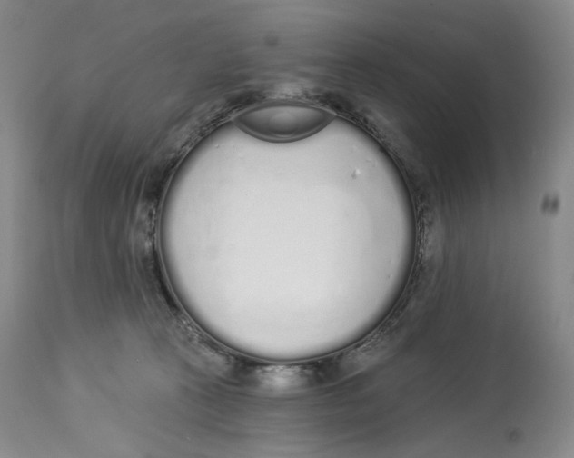 X0000114030273200910231905