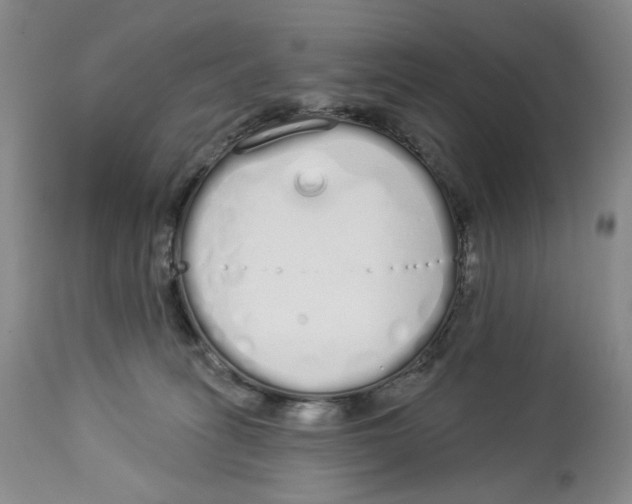 X0000114030275200910231905