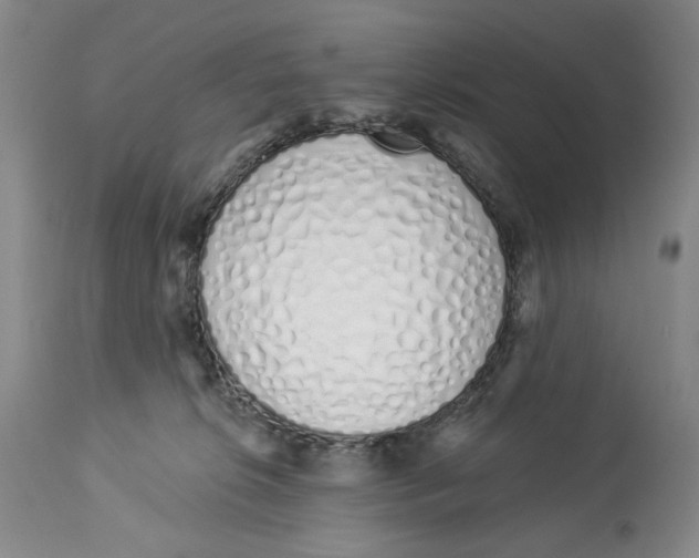 X0000114030276200910231905