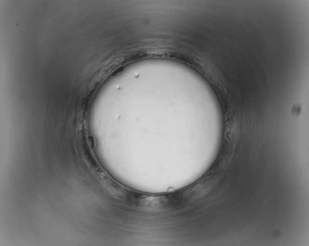 X0000114030277200910231905