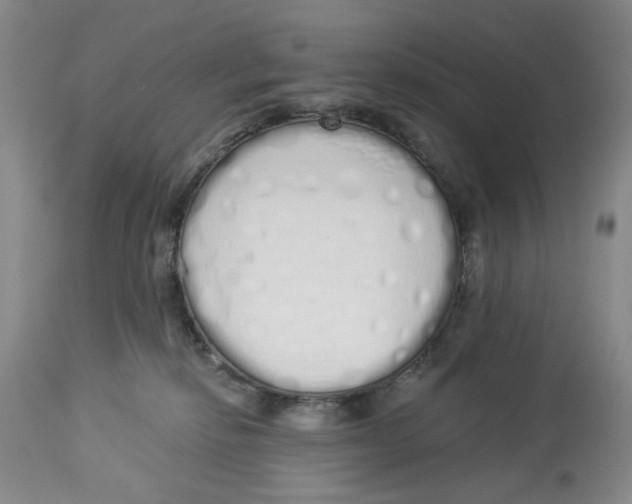 X0000114030278200910231905