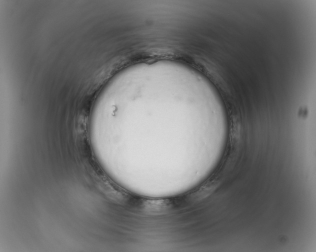 X0000114030281200910231906